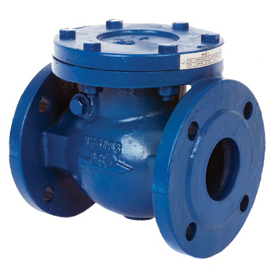 ARI-non-return valve