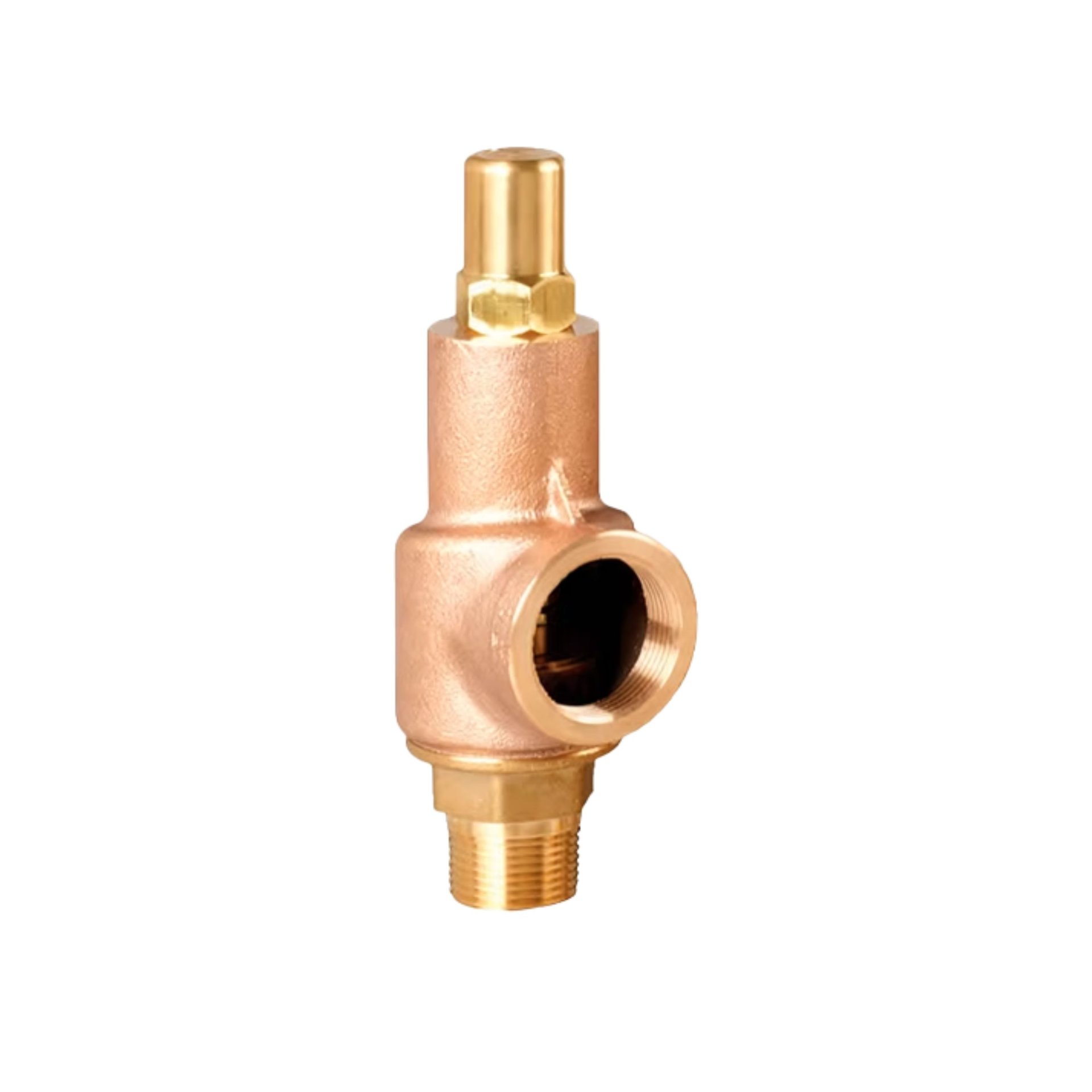 Válvula de seguridad para gases y vapores serie 88 y 89