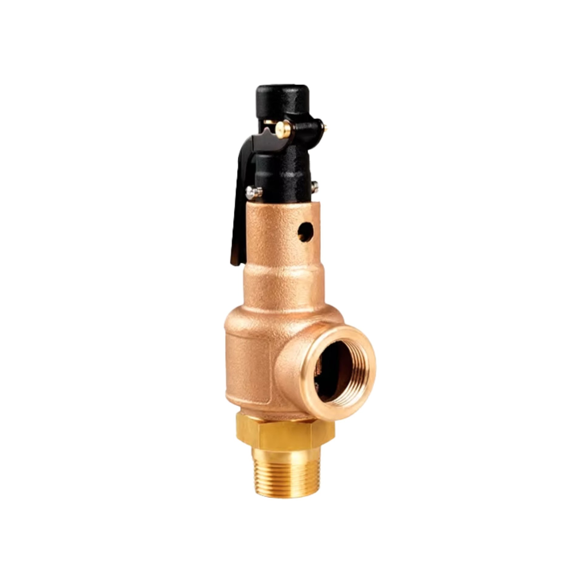 Válvula de seguridad para vapor serie 560 y 570